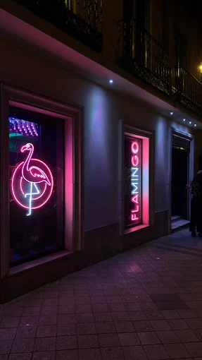 Flamingo – Valladolid