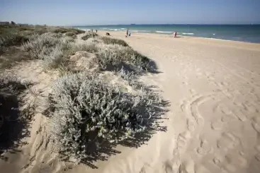 Platja de l'Arbre del Gos – Valencia